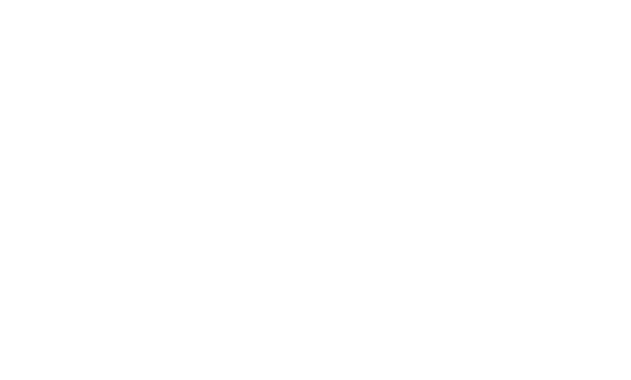 Logo Guadalupe